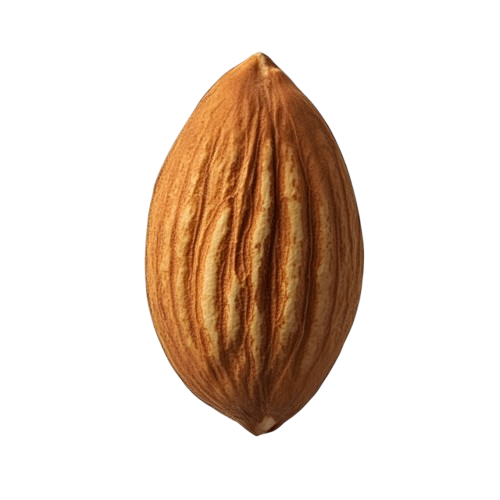 Almonds (Badam)